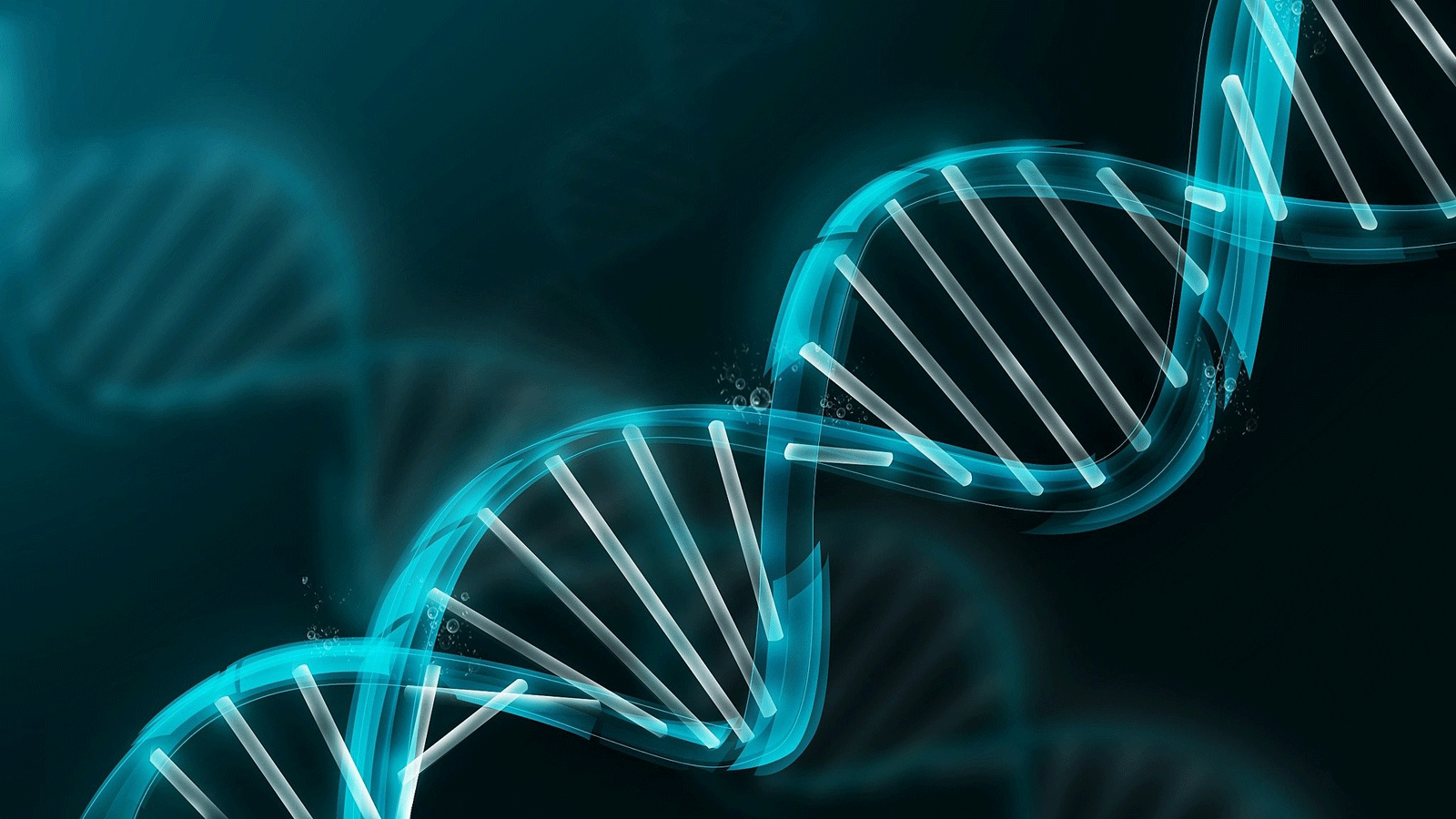 Visuel d'une chaîne ADN