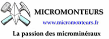 Logo Association Micromonteurs